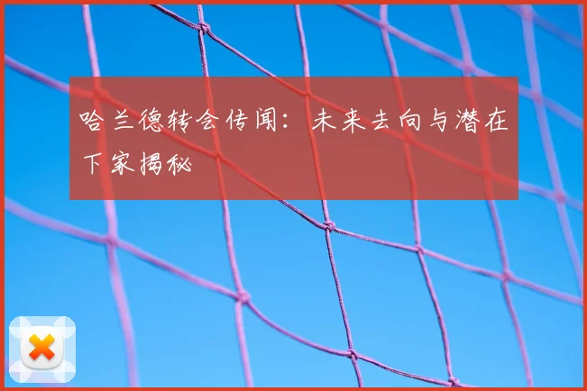 哈兰德转会传闻:未来去向与潜在下家揭秘